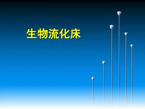 生物流化床ppt课件