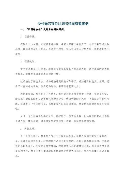 乡村振兴项目计划书往届获奖案例