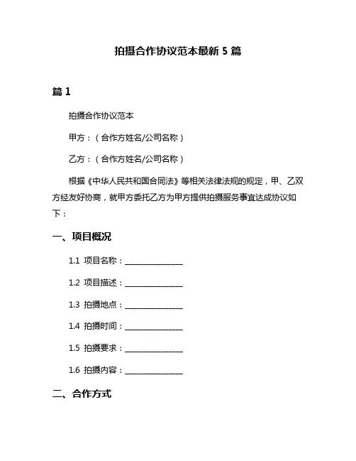 拍摄合作协议范本最新5篇