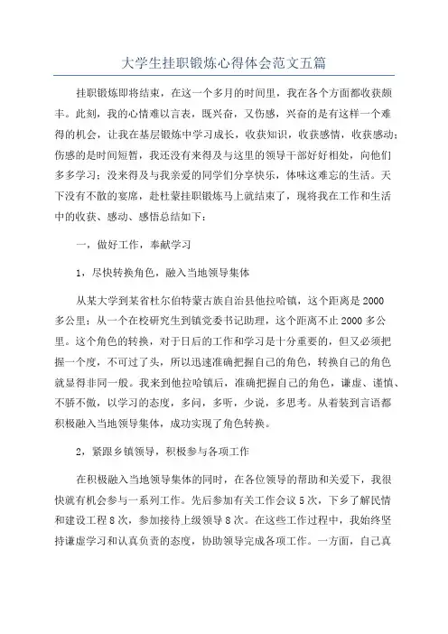 大学生挂职锻炼心得体会范文五篇