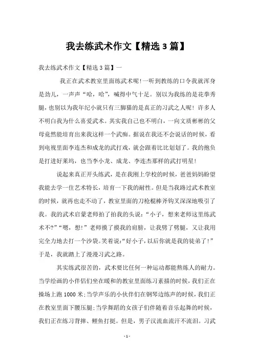 我去练武术作文【3篇】