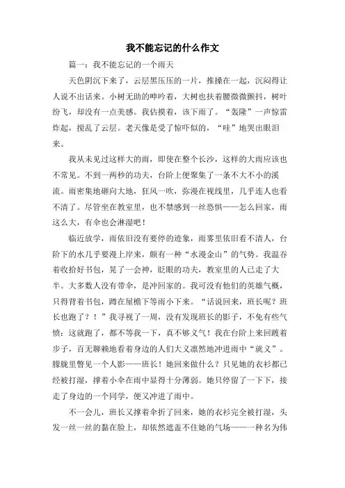 我不能忘记的什么作文