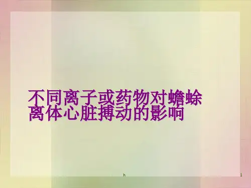 不同离子或药物对蟾蜍离体心脏搏动的影响