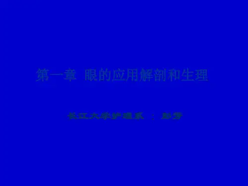 眼的应用解剖和生理ppt课件