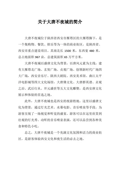关于大唐不夜城的简介