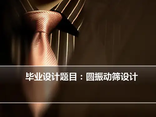 圆振动筛设计方案 幻灯片