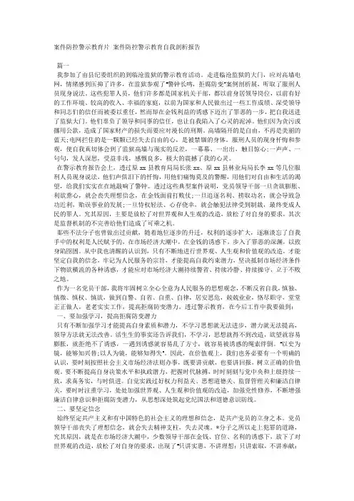 案件防控警示教育片 案件防控警示教育自我剖析报告.docx