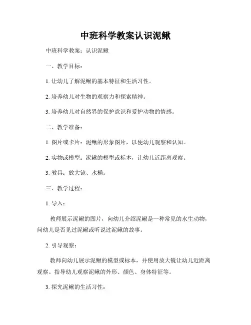 中班科学教案认识泥鳅