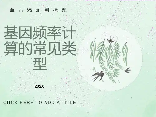 基因频率的计算