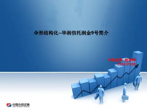 伞形信托介绍含实例及营销实务
