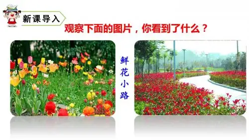 二年级下册语文课件 -第一单元《开满鲜花的小路 》人教版部编(共46张PPT)