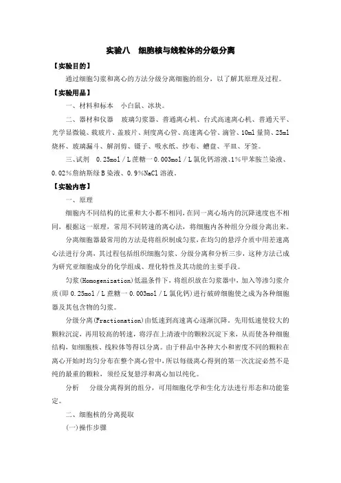 细胞生物学实验手册：细胞核与线粒体的分级分离
