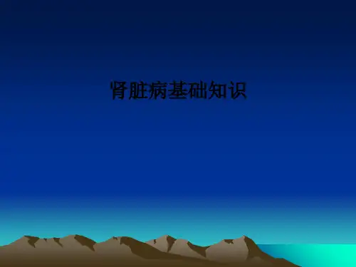 肾脏病基础知识PPT课件