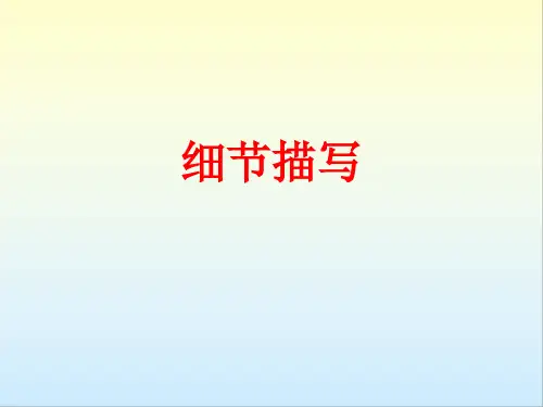 初中作文指导 细节描写