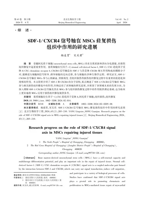 SDF-1／_CXCR4_信号轴在MSCs_修复损伤组织中作用的研究进展