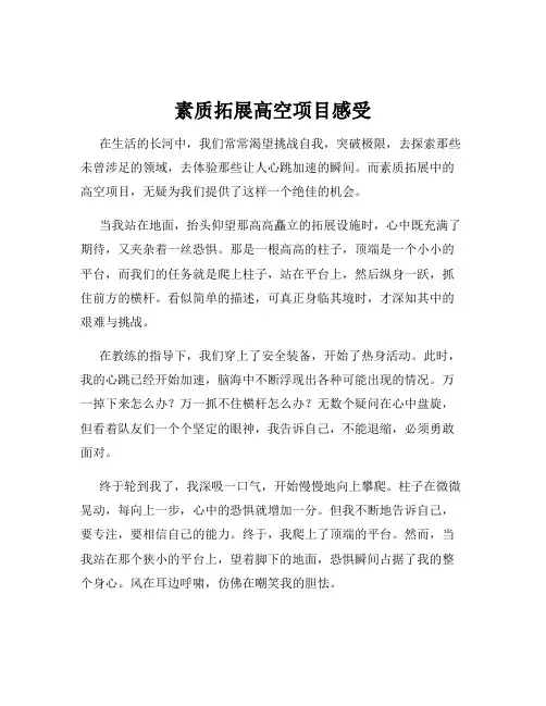 素质拓展高空项目感受