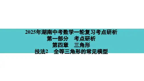 2025年湖南中考数学一轮复习考点研析 第四章 三角形技法2 全等三角形的常见模型