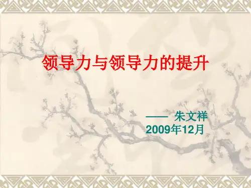 领导力与领导力的提升讲课教案