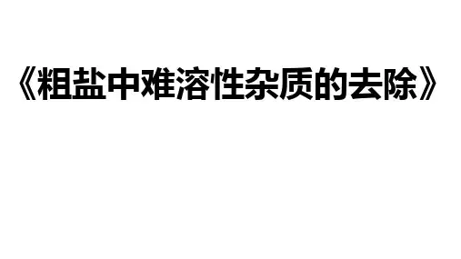 粗盐中难溶性杂质的去除ppt课件