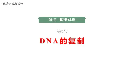 【课件】DNA的复制课件2022-2023学年高一下学期生物人教版必修2