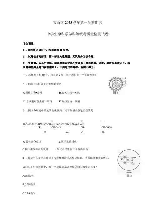2023-2024学年上海市宝山区生命科学一模试卷及答案