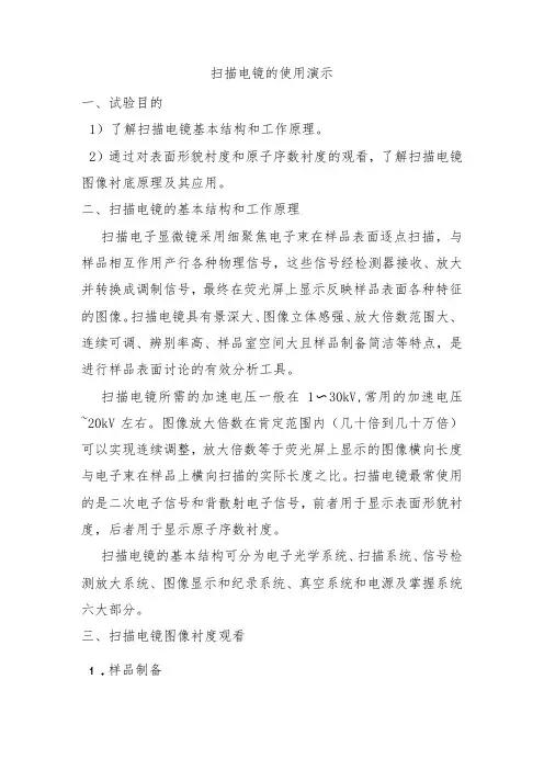 扫描电镜的使用演示