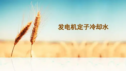发电机定子冷却水反洗