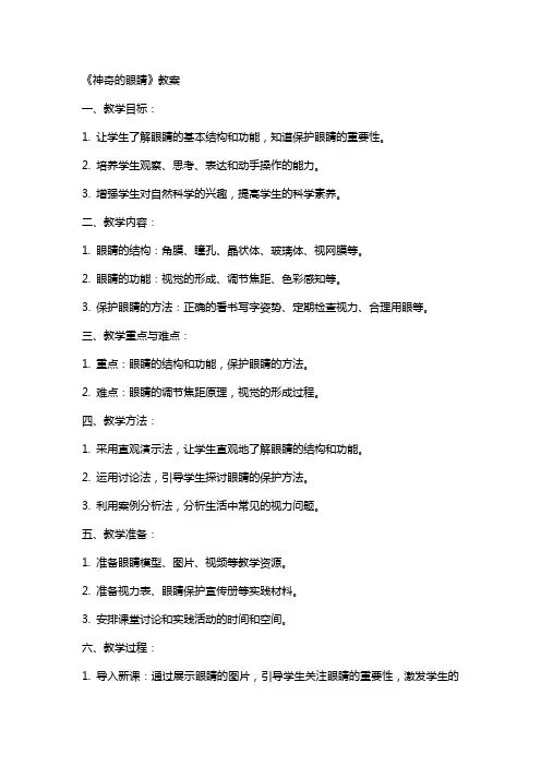 《神奇的眼睛》教案