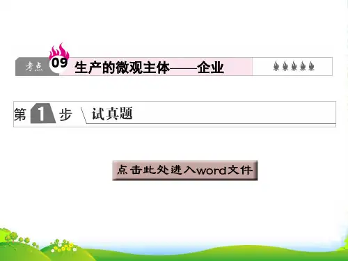 版高中政治A版一轮复考点复习课件：考点09 生产的微观主体——企业
