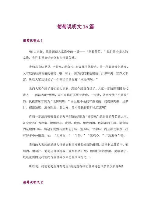 葡萄说明文15篇