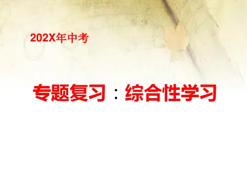 中考语文专题复习：综合性学习课件