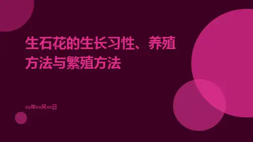 生石花的生长习性、养殖方法与繁殖方法