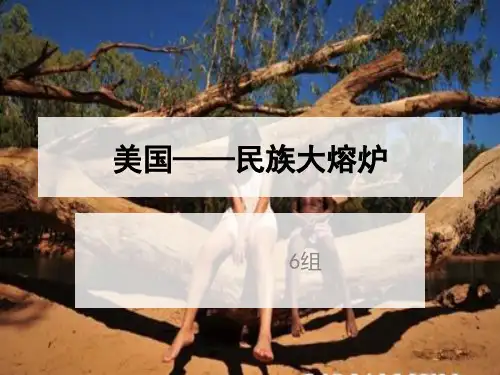美国——民族大熔炉解析
