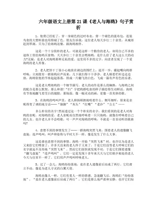 六年级语文上册第21课老人与海鸥句子赏析