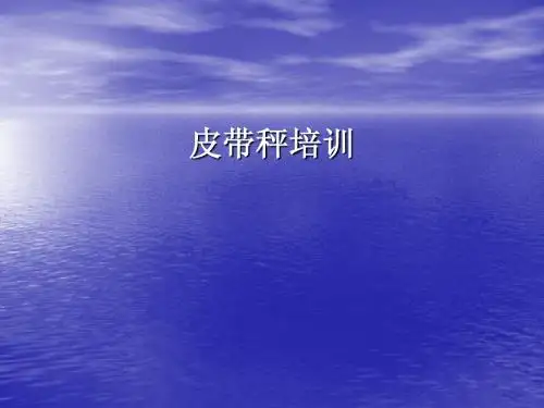 皮带秤培训