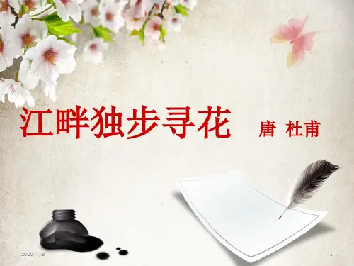 《江畔独步寻花》古诗词讲解课件PPT