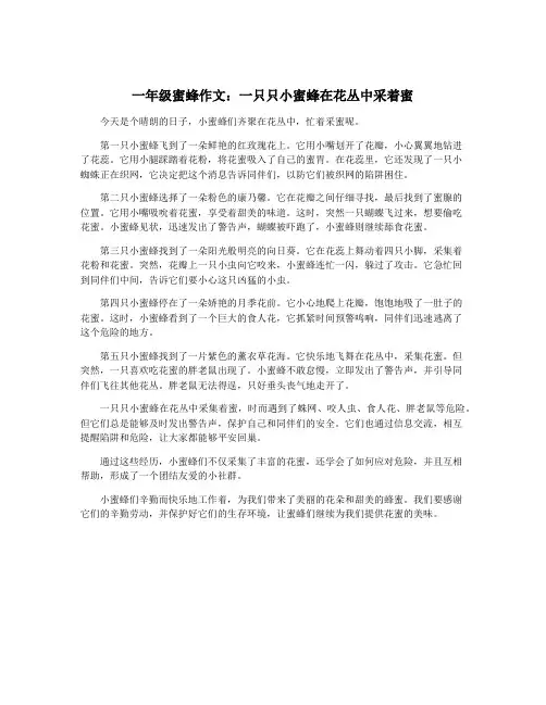 一年级蜜蜂作文：一只只小蜜蜂在花丛中采着蜜