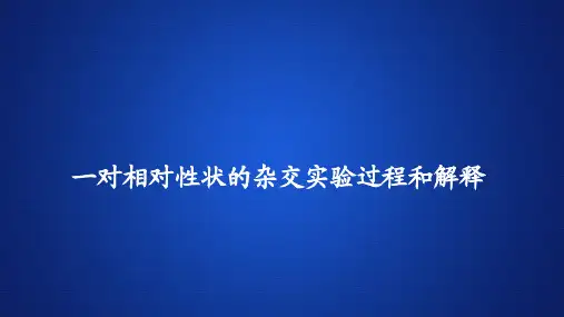 高中生物(新教材)课件《一对相对性状的杂交实验过程和解释》