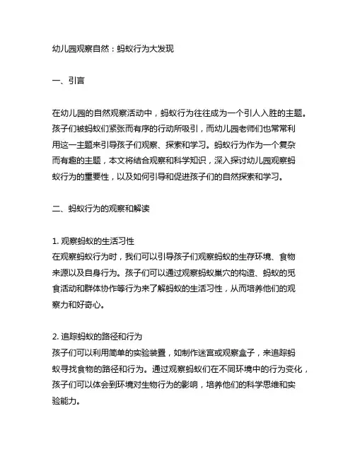 幼儿园观察自然：蚂蚁行为大发现
