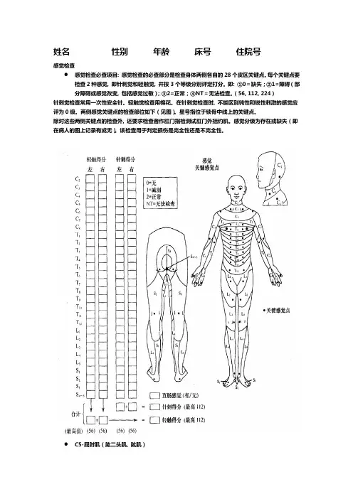 脊髓损伤评定表