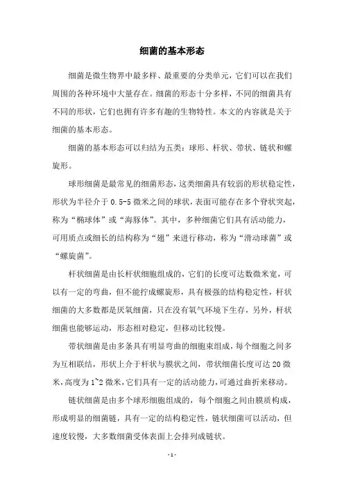细菌的基本形态