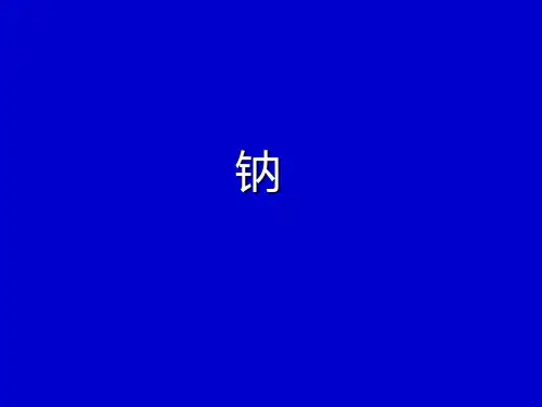 金属钠的化学性质ppt 人教课标版
