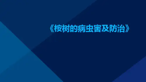 桉树的病虫害及防治