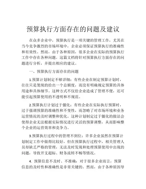 预算执行方面存在的问题及建议