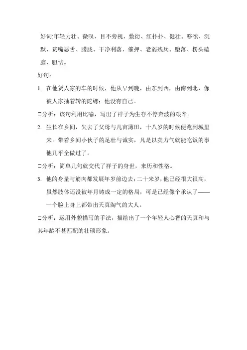 骆驼祥子读书笔记1章好词好句