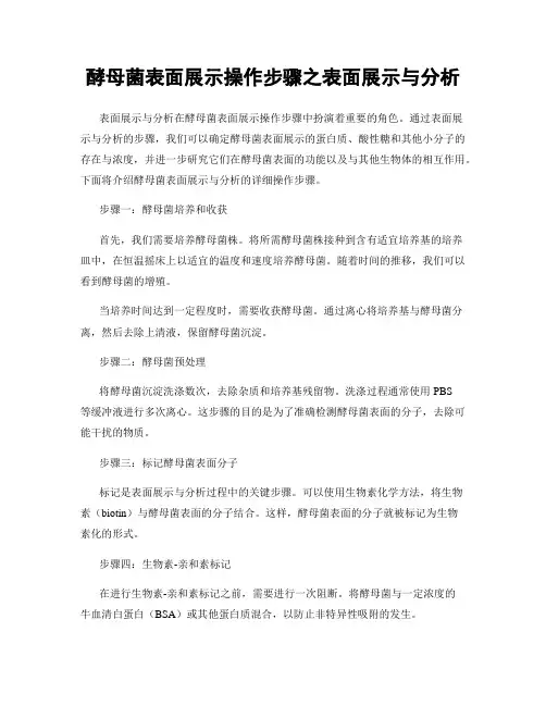 酵母菌表面展示操作步骤之表面展示与分析