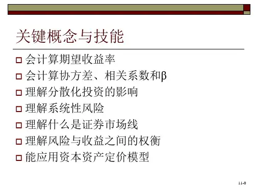 收益和风险资本资产定价模型hafs