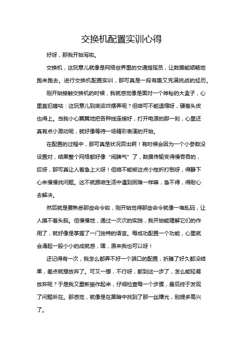 交换机配置实训心得