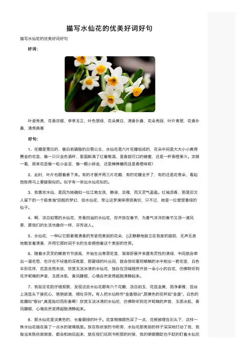 描写水仙花的优美好词好句