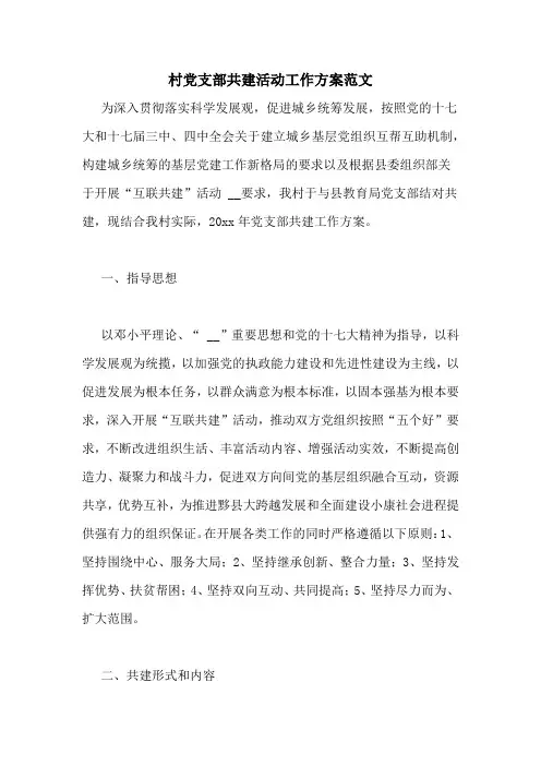村党支部共建活动工作方案范文